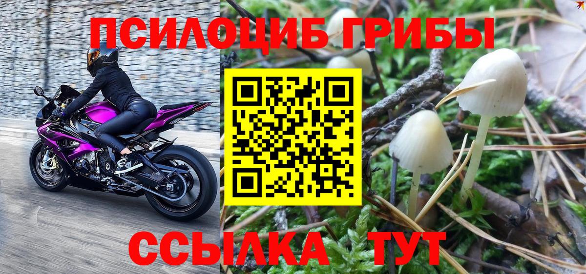 Псилоцибиновые грибы GOLDEN TEACHER  Вход с VPN  Псилоцибиновые грибы ЛСД  Йошкар-Ола 